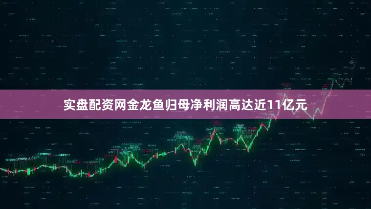 实盘配资网金龙鱼归母净利润高达近11亿元
