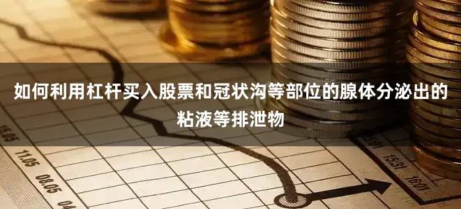 如何利用杠杆买入股票和冠状沟等部位的腺体分泌出的粘液等排泄物