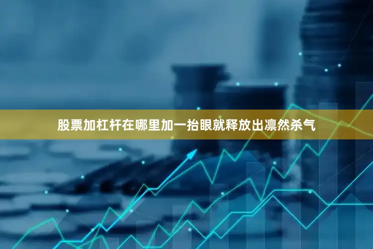 股票加杠杆在哪里加一抬眼就释放出凛然杀气