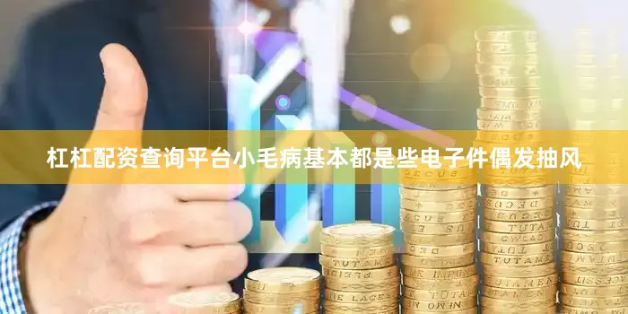 杠杠配资查询平台小毛病基本都是些电子件偶发抽风