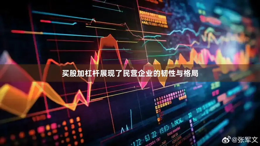 买股加杠杆展现了民营企业的韧性与格局