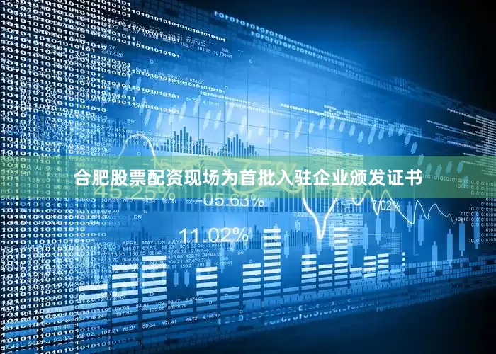 合肥股票配资现场为首批入驻企业颁发证书